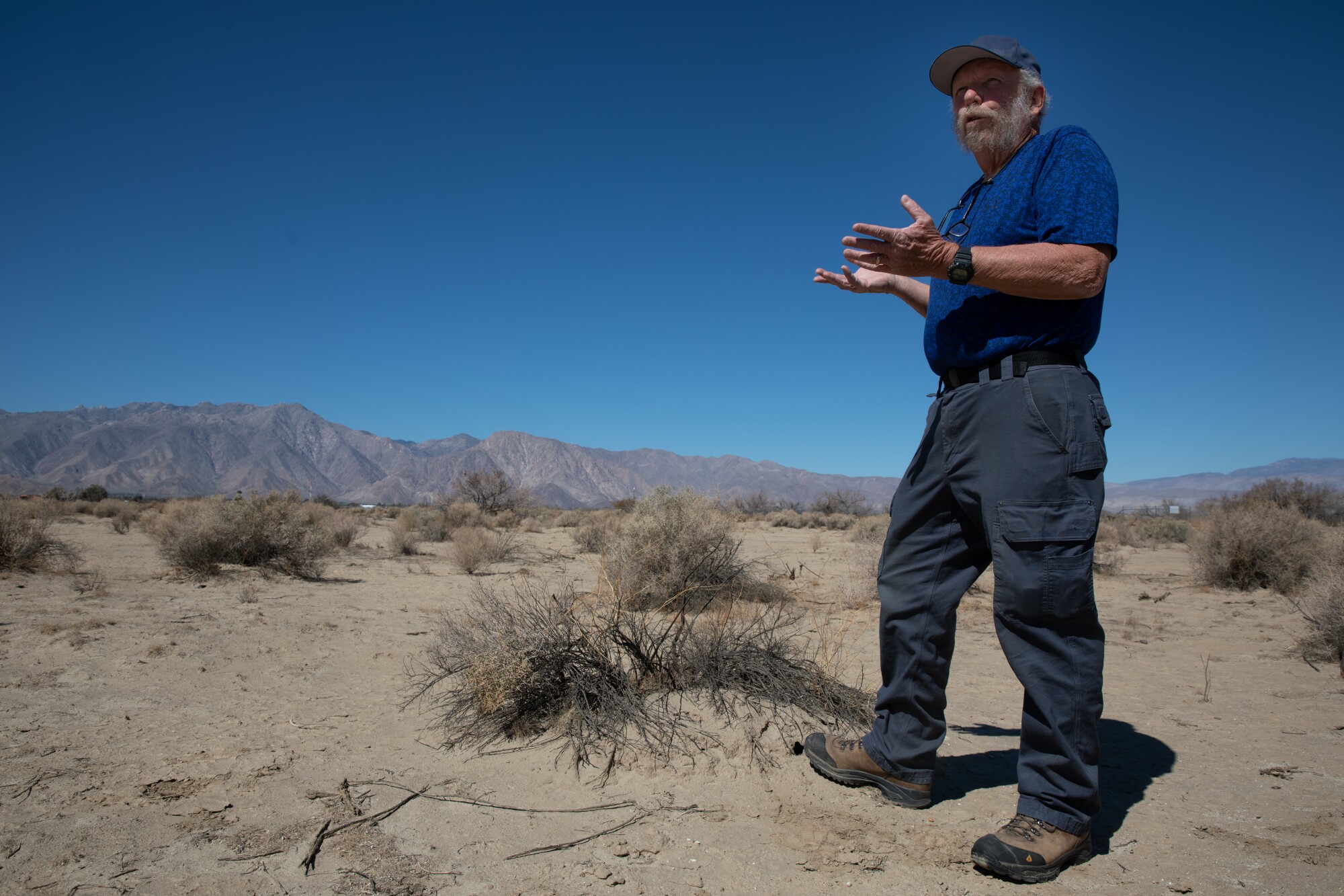 Mark Jorgensen stands near a struggling saltbush in the Anza-Borrego Desert State Park