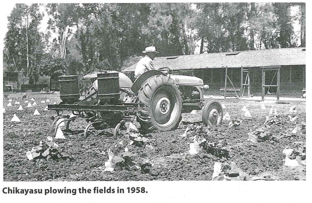 Chikayasu Inaba plows fields on his family’s farm on Jurupa...
