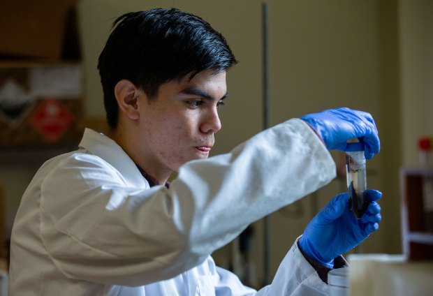 UCR student Daniel Gonzalez II, transfers samples as he volunteers...