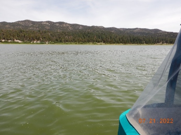 Toxic green algae at Big Bear Lake is seen July...