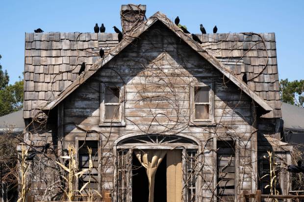 Crows take over in the “Scarecrow” themed Maze at Universal...