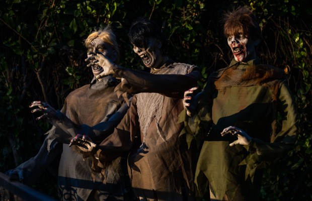 The halloween house has moving witches, walking dead run on...