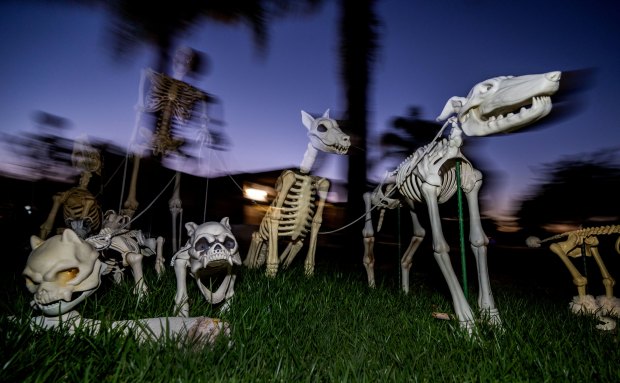 A skeleton pet cemetery along with the zombies, ghosts, headstones...